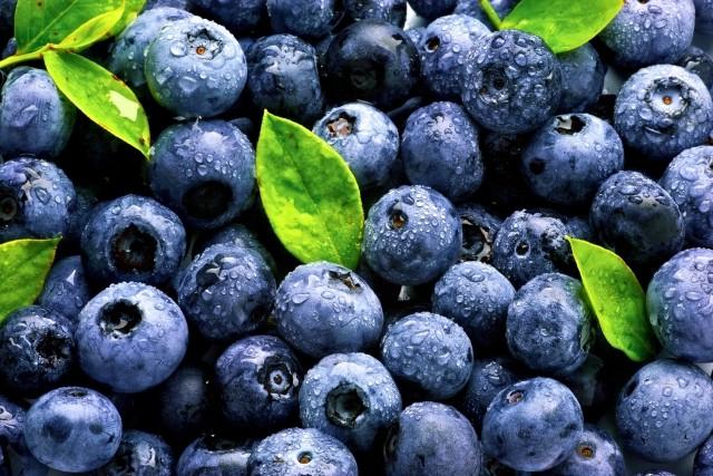 MaxNest Blueberries